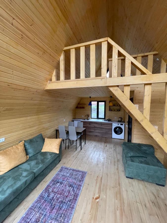 Guesthouse Elli & Cottages Kazbegi Ngoại thất bức ảnh